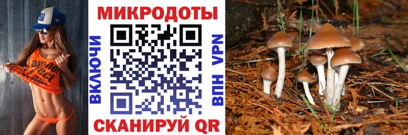 Купить закладки  Артёмовск  Псилоцибиновые грибы Psilocybe 